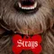 Strays fragman izle