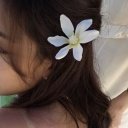 Nissmis adlı kullanıcı